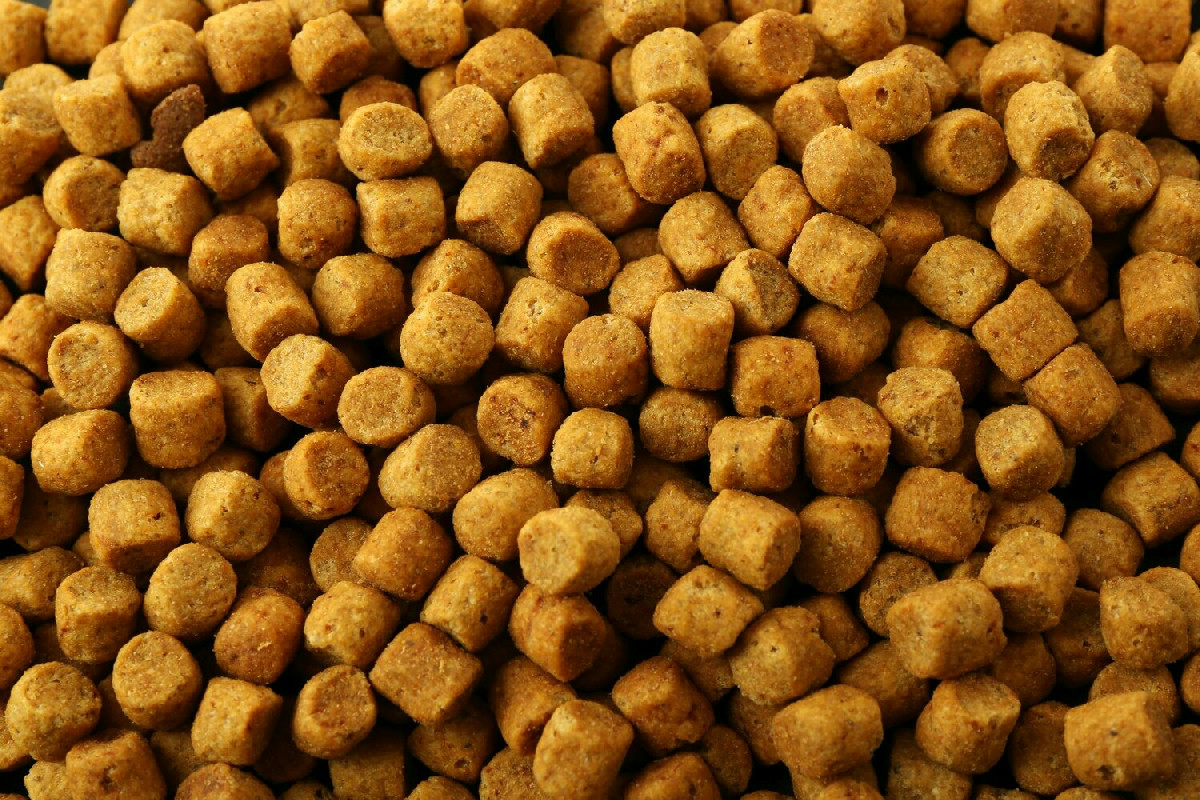 Dal 2026 prezzi più bassi per crocchette e alimenti speciali: vantaggi per chi ha cani e gatti