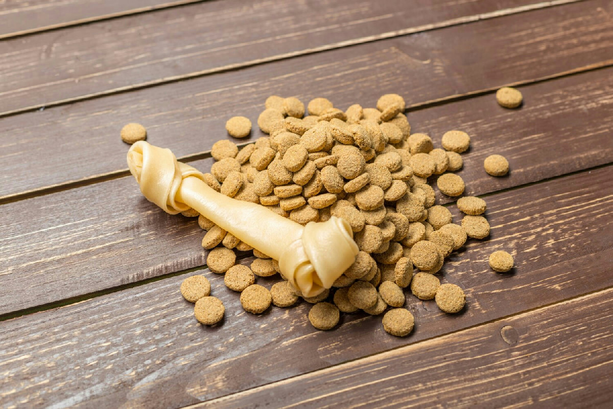 Dal 2026 prezzi più bassi per crocchette e alimenti speciali: vantaggi per chi ha cani e gatti