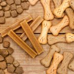 7 snack dentali per cani che migliorano l’igiene orale e mantengono denti sani e forti