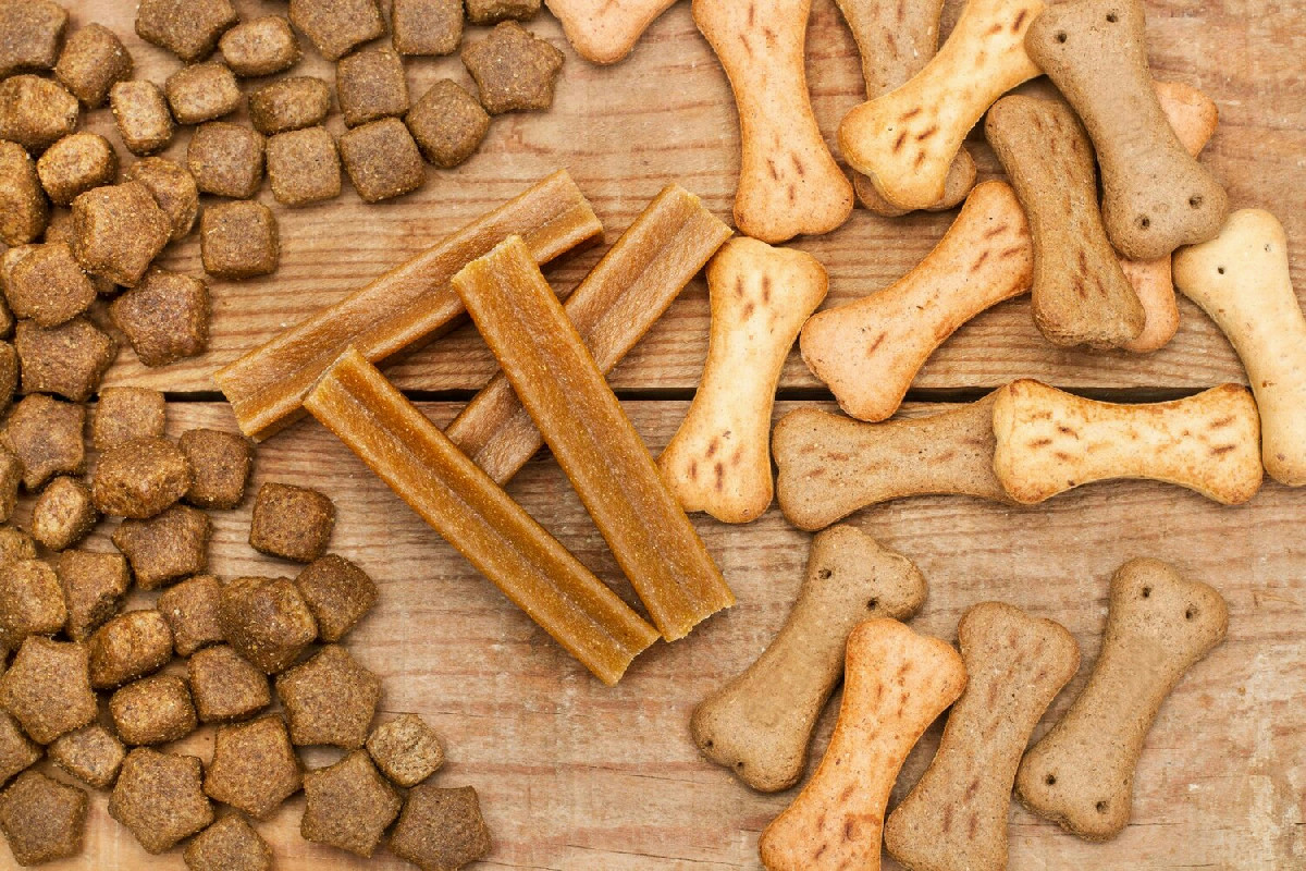 7 snack dentali per cani che migliorano l’igiene orale e mantengono denti sani e forti