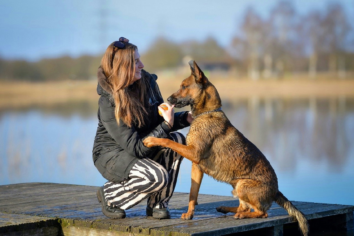 Cani e padroni: strategie fondamentali per costruire un rapporto autentico e duraturo insieme