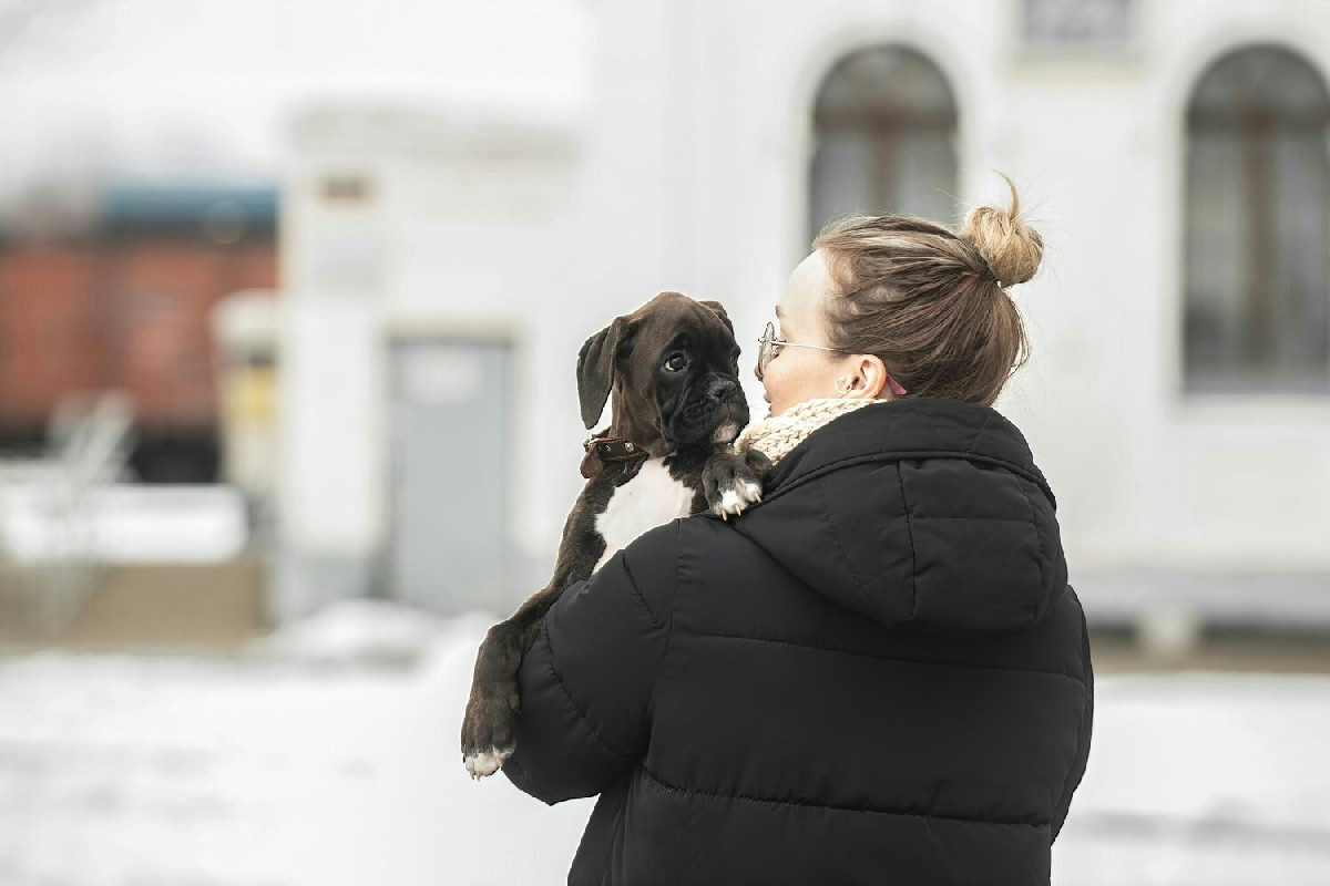 Come gli animali avvertono l’arrivo delle malattie: il legame invisibile tra specie diverse in azione