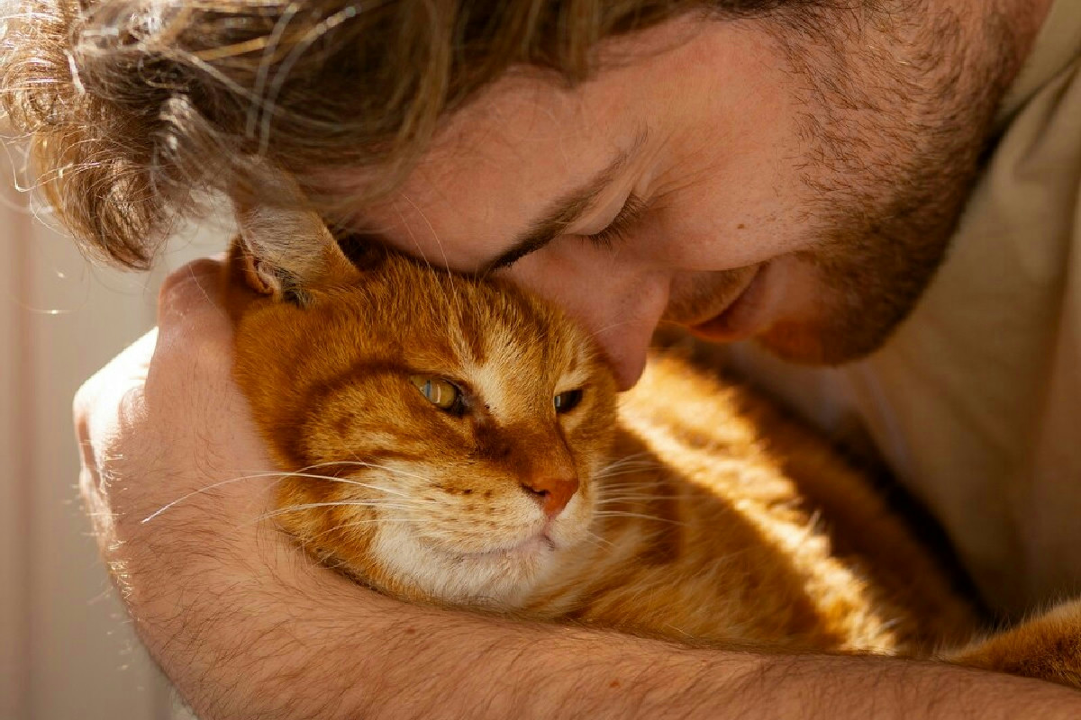 Come riconoscere l’affetto del gatto: comportamenti di tenerezza da osservare in casa