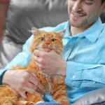 Come riconoscere l’affetto del gatto: comportamenti di tenerezza da osservare in casa