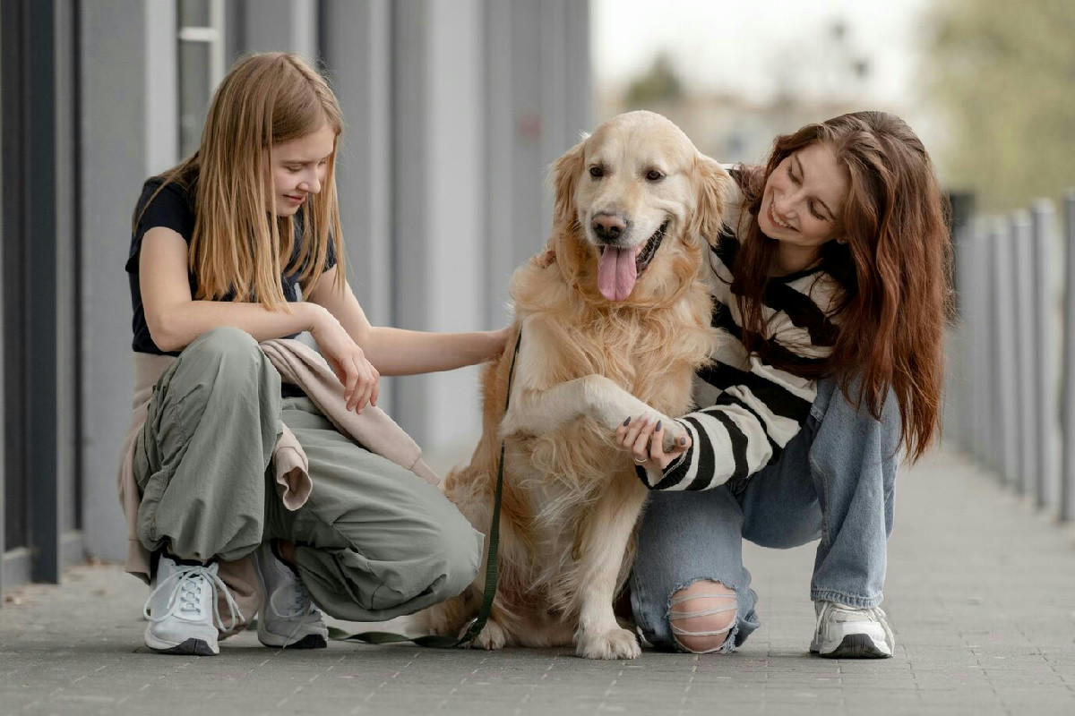 Crescere con un cane modifica il microbioma dei giovani e sostiene un benessere mentale più stabile
