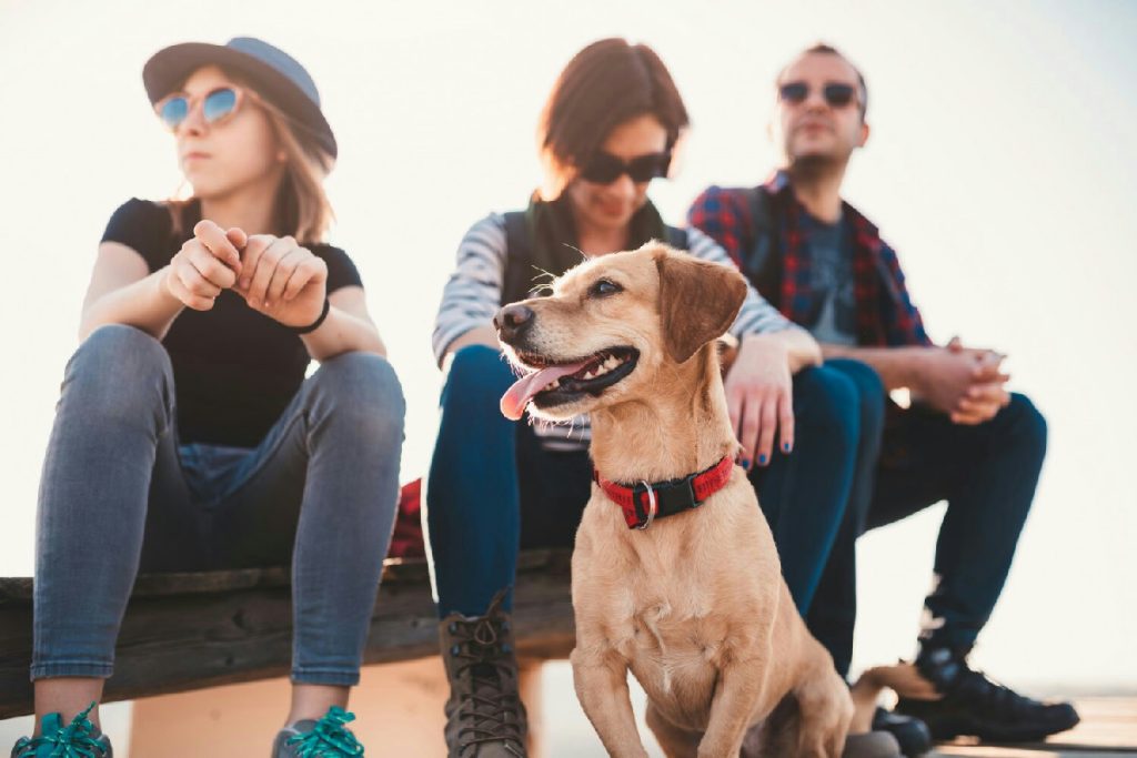 Crescere con un cane modifica il microbioma dei giovani e sostiene un benessere mentale più stabile