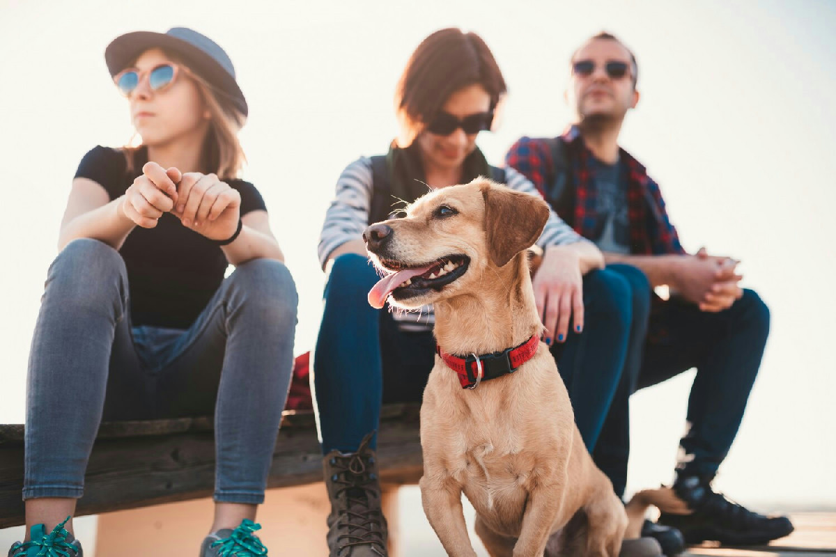 Crescere con un cane modifica il microbioma dei giovani e sostiene un benessere mentale più stabile