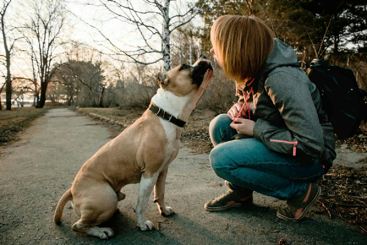 Crescere un rapporto vero con il cane: oltre le regole, l’intesa per una convivenza speciale