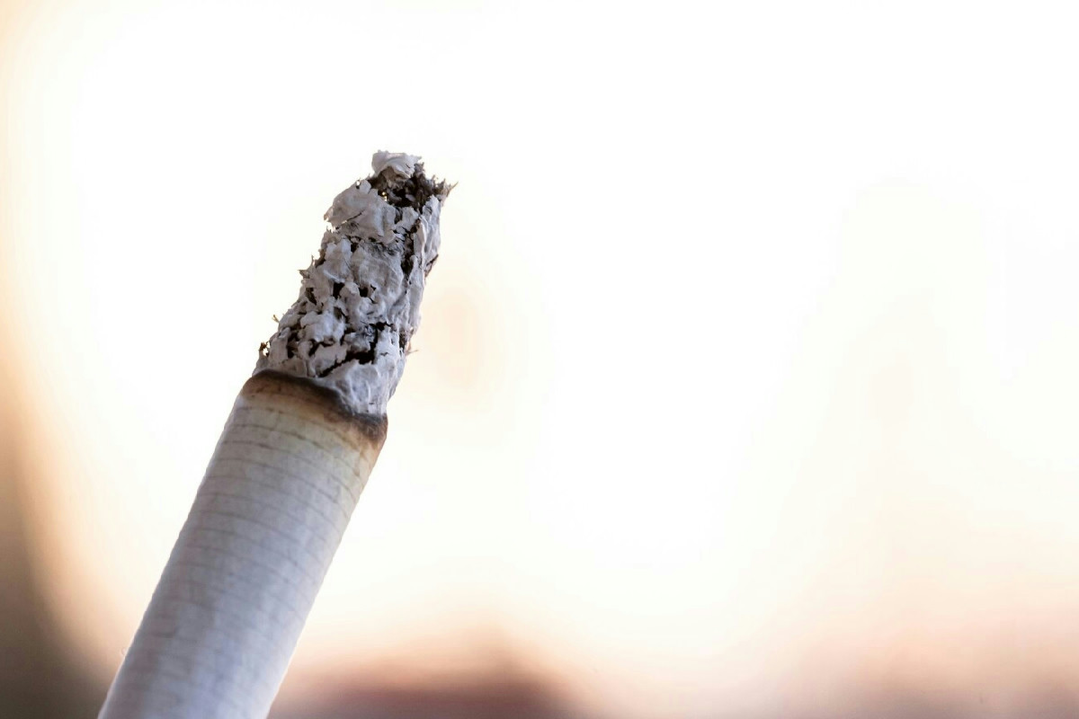 Fumo passivo in casa: i pericoli invisibili che minacciano la salute dei nostri animali domestici