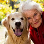 Le razze di cani ideali per gli anziani: compagni affettuosi e facili da gestire in casa