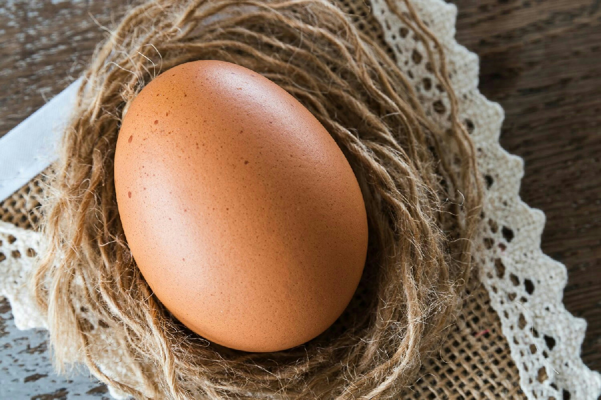 Ritenzione dell’uovo nella gallina: sintomi, cause e come intervenire efficacemente
