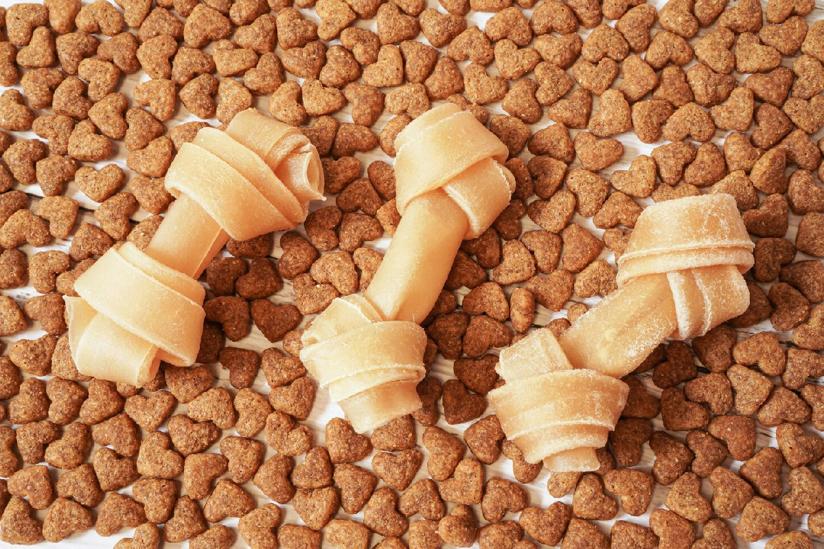 Snack ideali per cani e gatti per mantenere salute ed equilibrio in modo naturale e sicuro