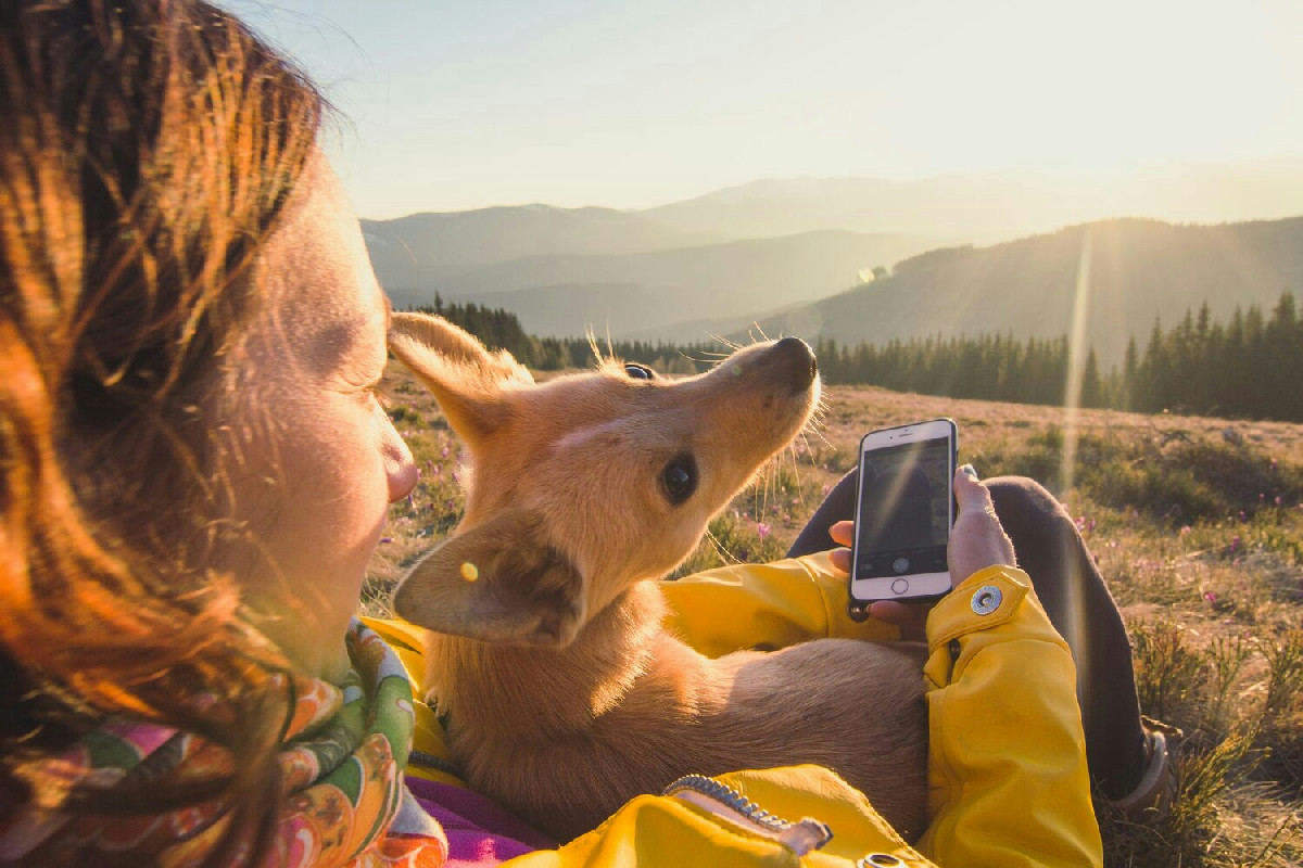 Viaggiare con animali domestici all’estero: guida completa a permessi e documenti necessari